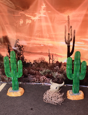 Hoop the cactus wild west game for hire