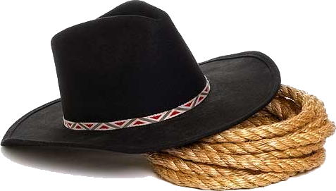 stetson and lasso